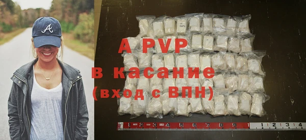 шишки Аркадак