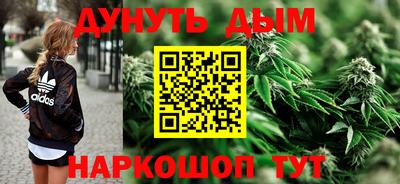 гашик Бийск