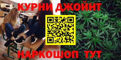 гашик Бийск